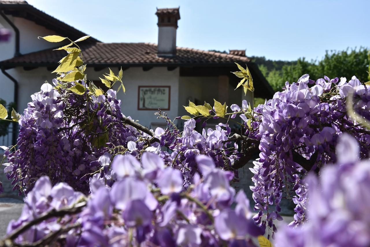 Bed and Breakfast Al Vecchio Glicine Gábria Exterior foto
